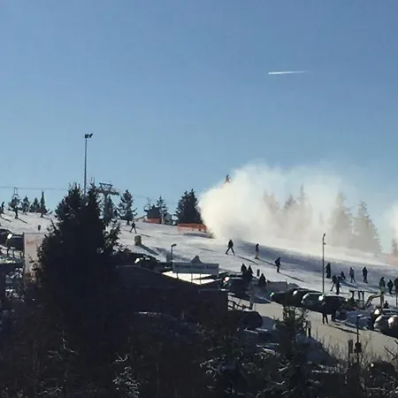 21093 Lejlighed Winterberg