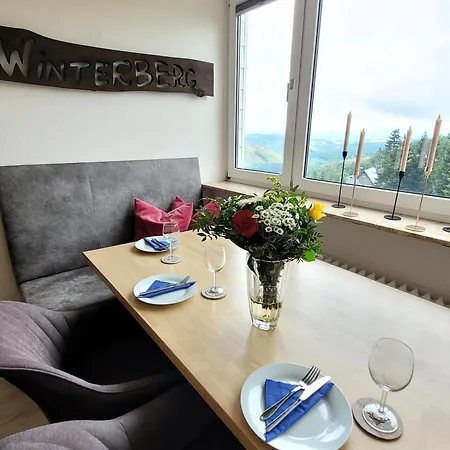 21093 Винтерберг